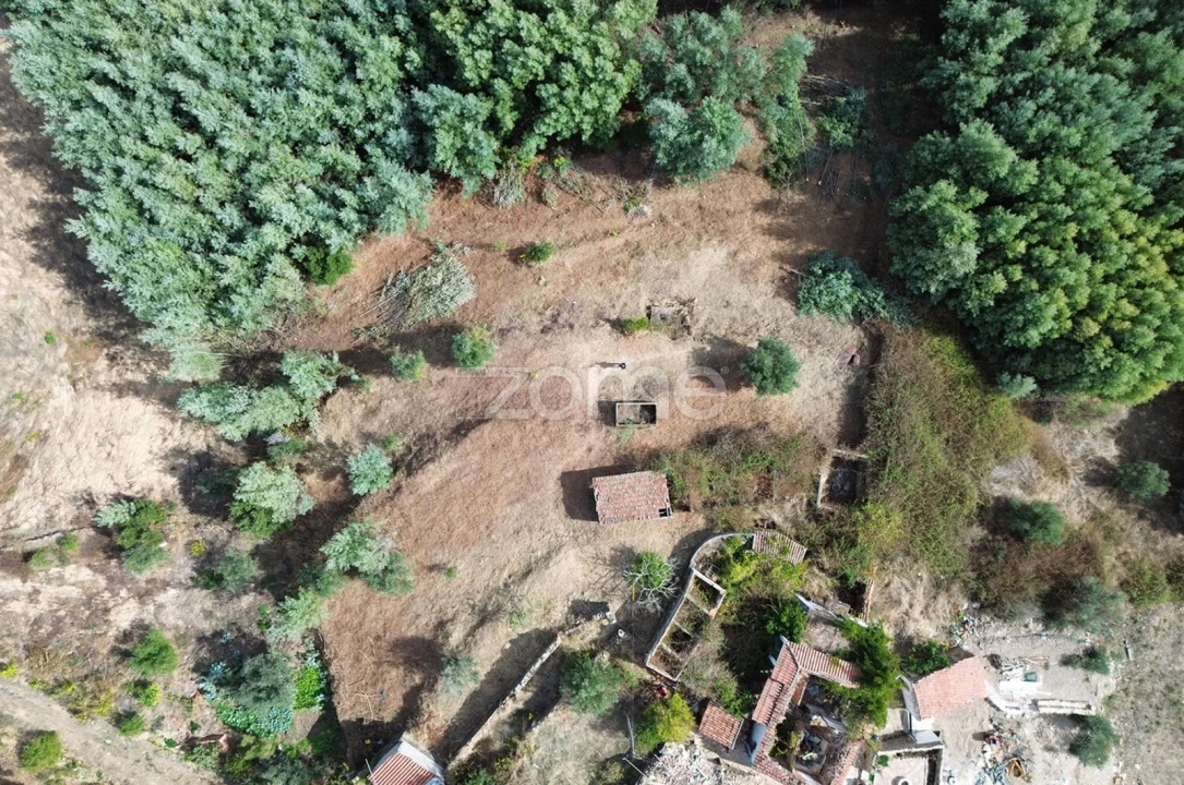 Terreno para Venda em Carvoeiro Foto 19