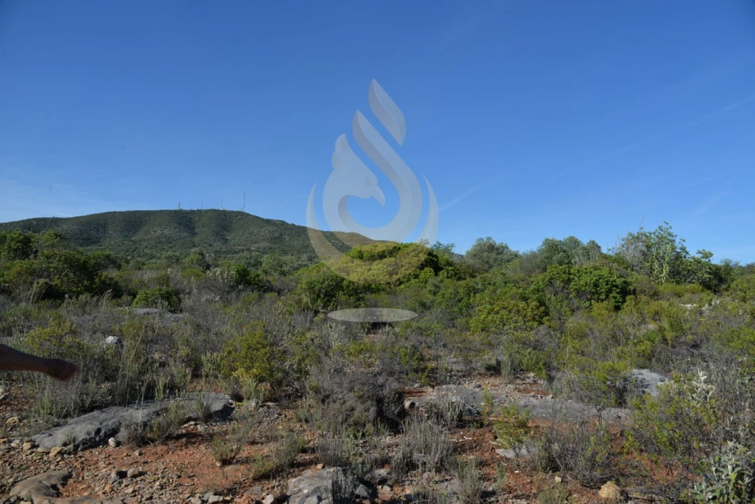 Terreno Agricola ou Rústico para Venda em Conceição e Estoi Foto 1