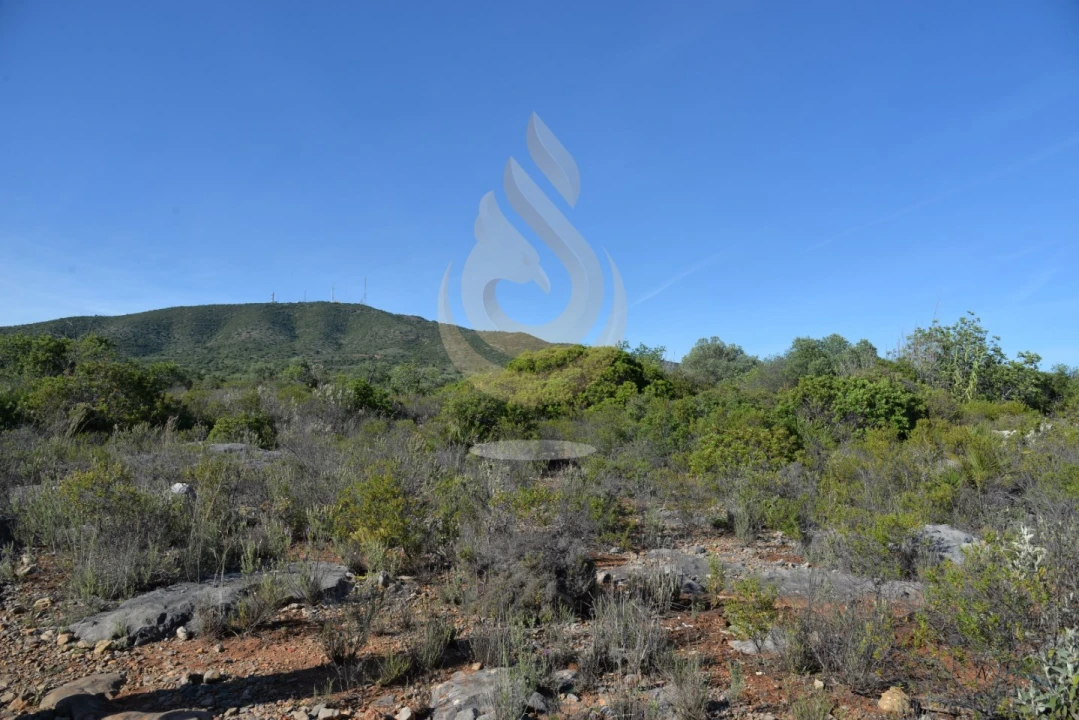 Terreno Agricola ou Rústico para Venda em Conceição e Estoi Foto 3