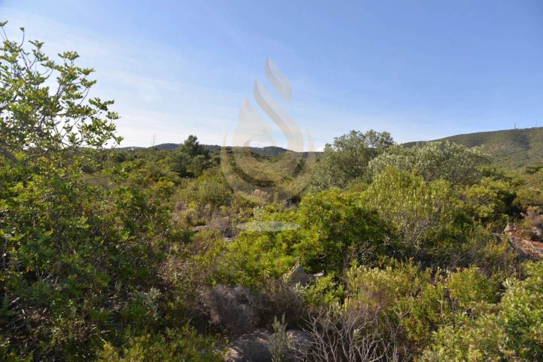Terreno Agricola ou Rústico para Venda em Conceição e Estoi Foto 9