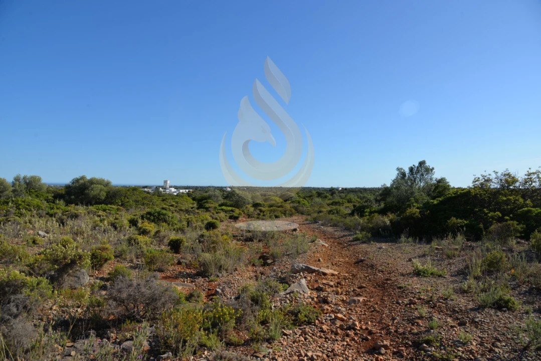 Terreno Agricola ou Rústico para Venda em Conceição e Estoi Foto 13