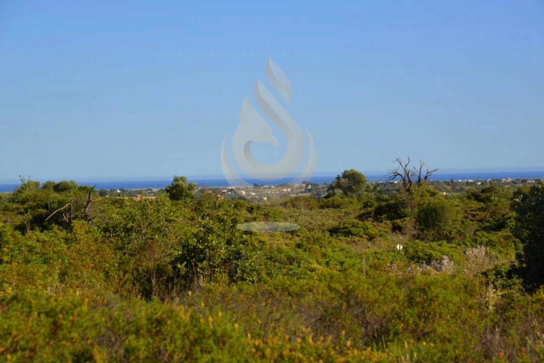 Terreno Agricola ou Rústico para Venda em Conceição e Estoi Foto 14