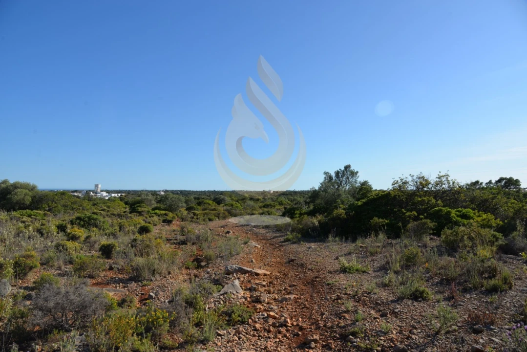 Terreno Agricola ou Rústico para Venda em Conceição e Estoi Foto 15