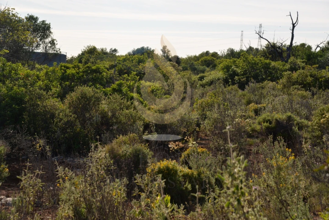 Terreno Agricola ou Rústico para Venda em Conceição e Estoi Foto 16