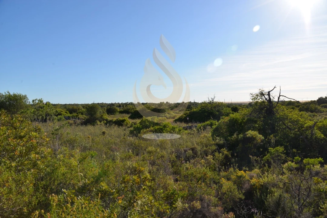 Terreno Agricola ou Rústico para Venda em Conceição e Estoi Foto 17