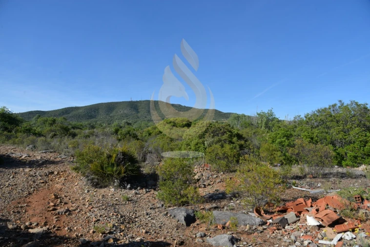 Terreno Agricola ou Rústico para Venda em Conceição e Estoi Foto 2