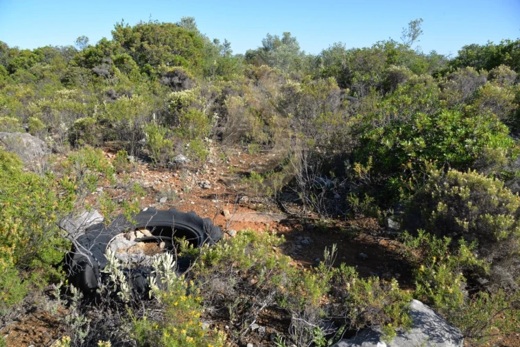 Terreno Agricola ou Rústico para Venda em Conceição e Estoi Foto 11