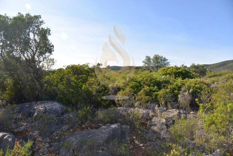 Terreno Agricola ou Rústico para Venda em Conceição e Estoi Foto 12