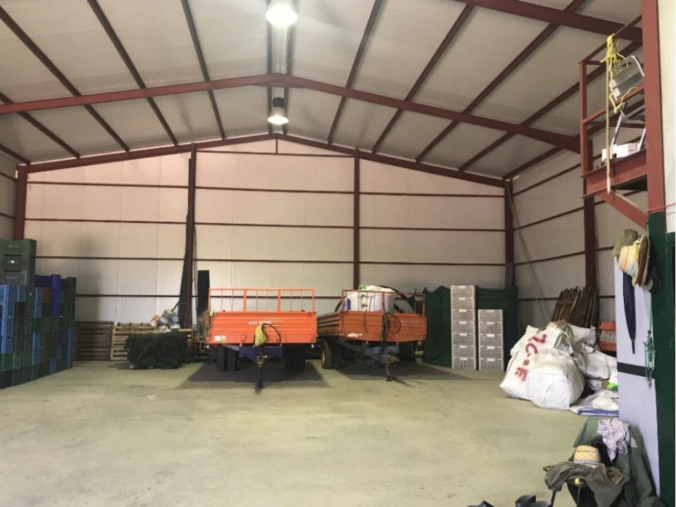 Terreno Misto para Venda em Estremoz (Santa Maria e Santo André) Foto 14