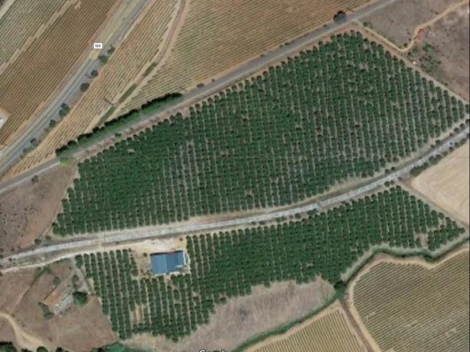 Terreno Misto para Venda em Estremoz (Santa Maria e Santo André) Foto 12