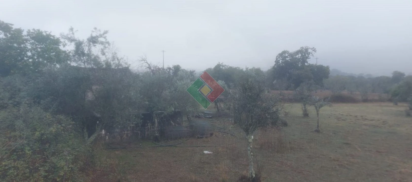 Terreno Agricola ou Rústico para Venda em São Salvador da Aramenha Foto 1