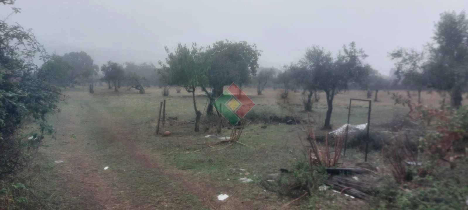 Terreno Agricola ou Rústico para Venda em São Salvador da Aramenha Foto 4