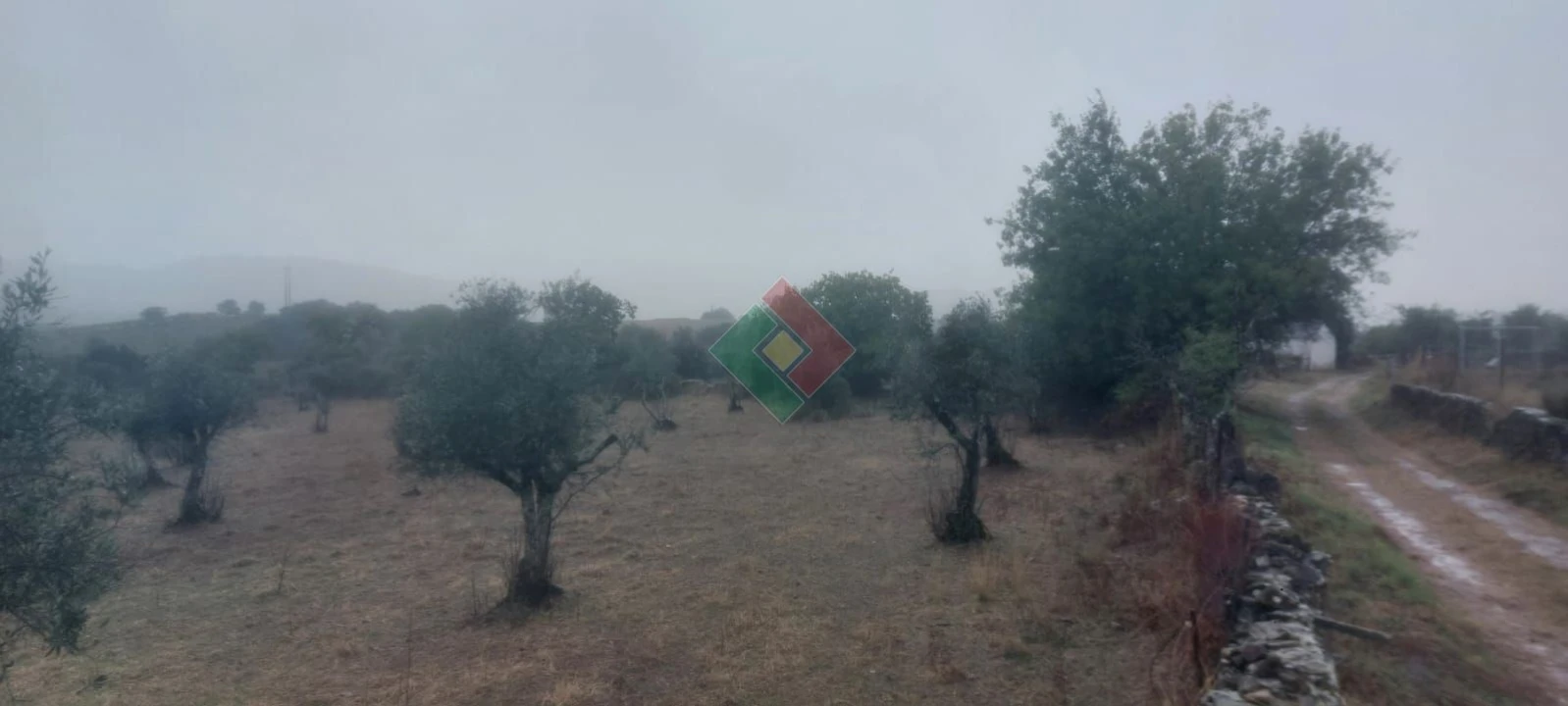Terreno Agricola ou Rústico para Venda em São Salvador da Aramenha Foto 5