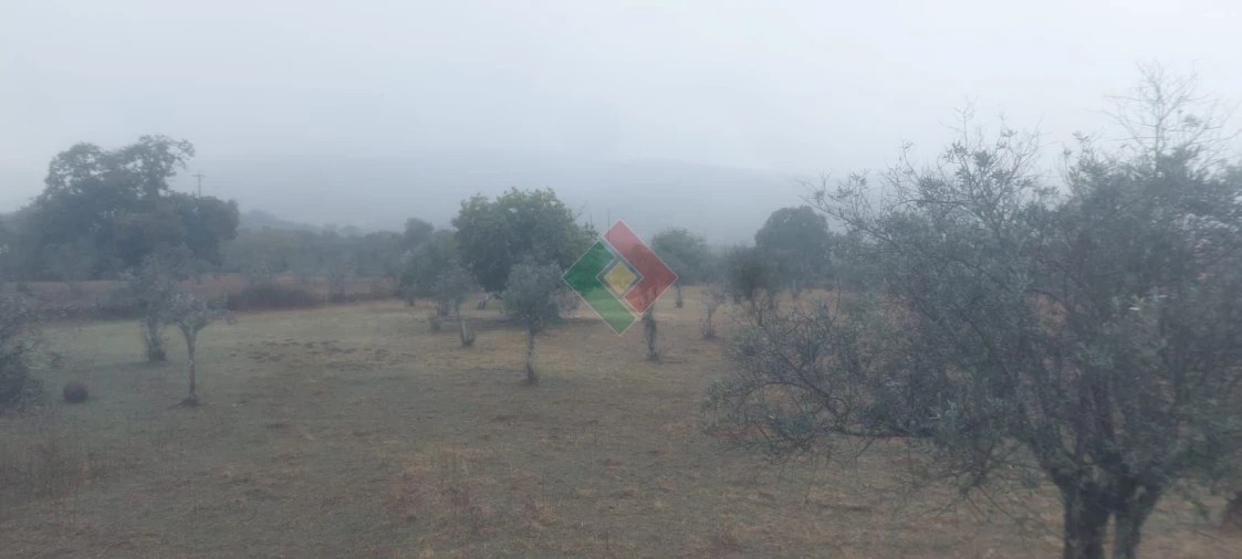 Terreno Agricola ou Rústico para Venda em São Salvador da Aramenha Foto 3