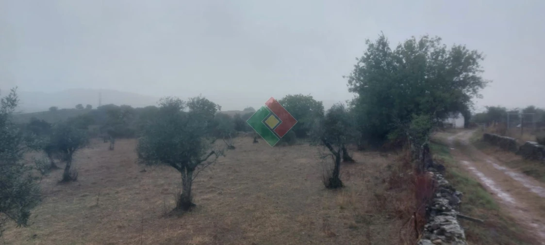 Terreno Agricola ou Rústico para Venda em São Salvador da Aramenha Foto 5