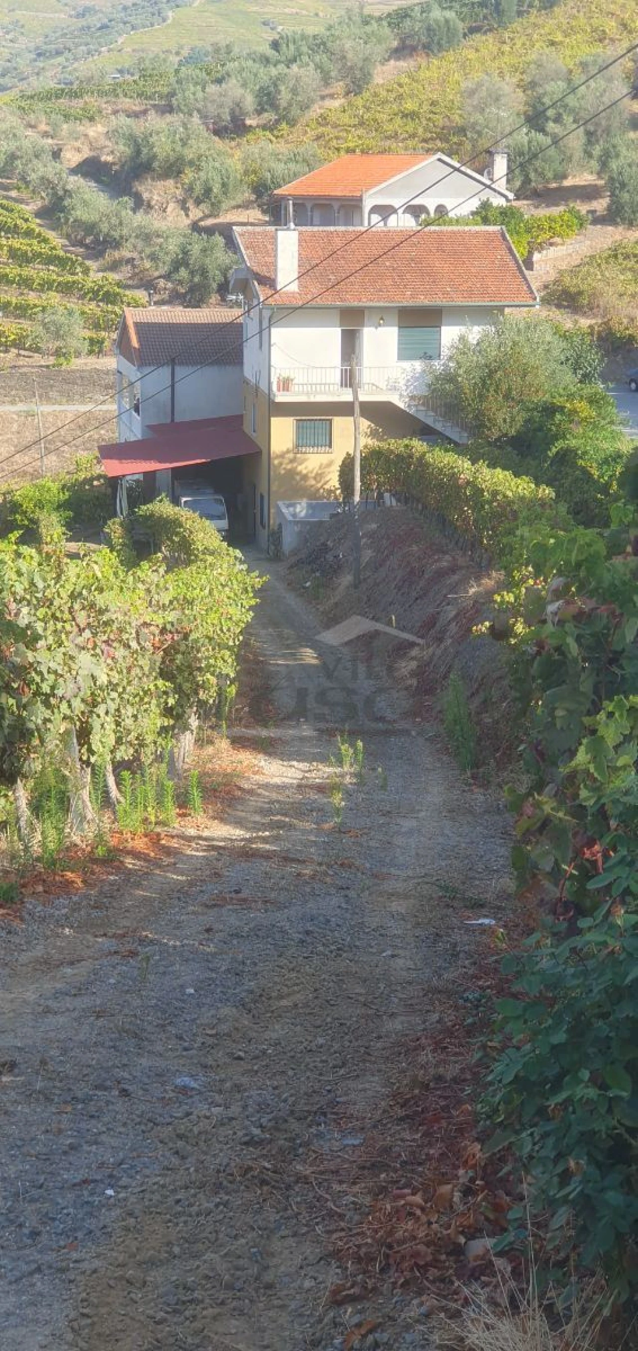 Quinta T5 para Venda em Abaças Foto 3