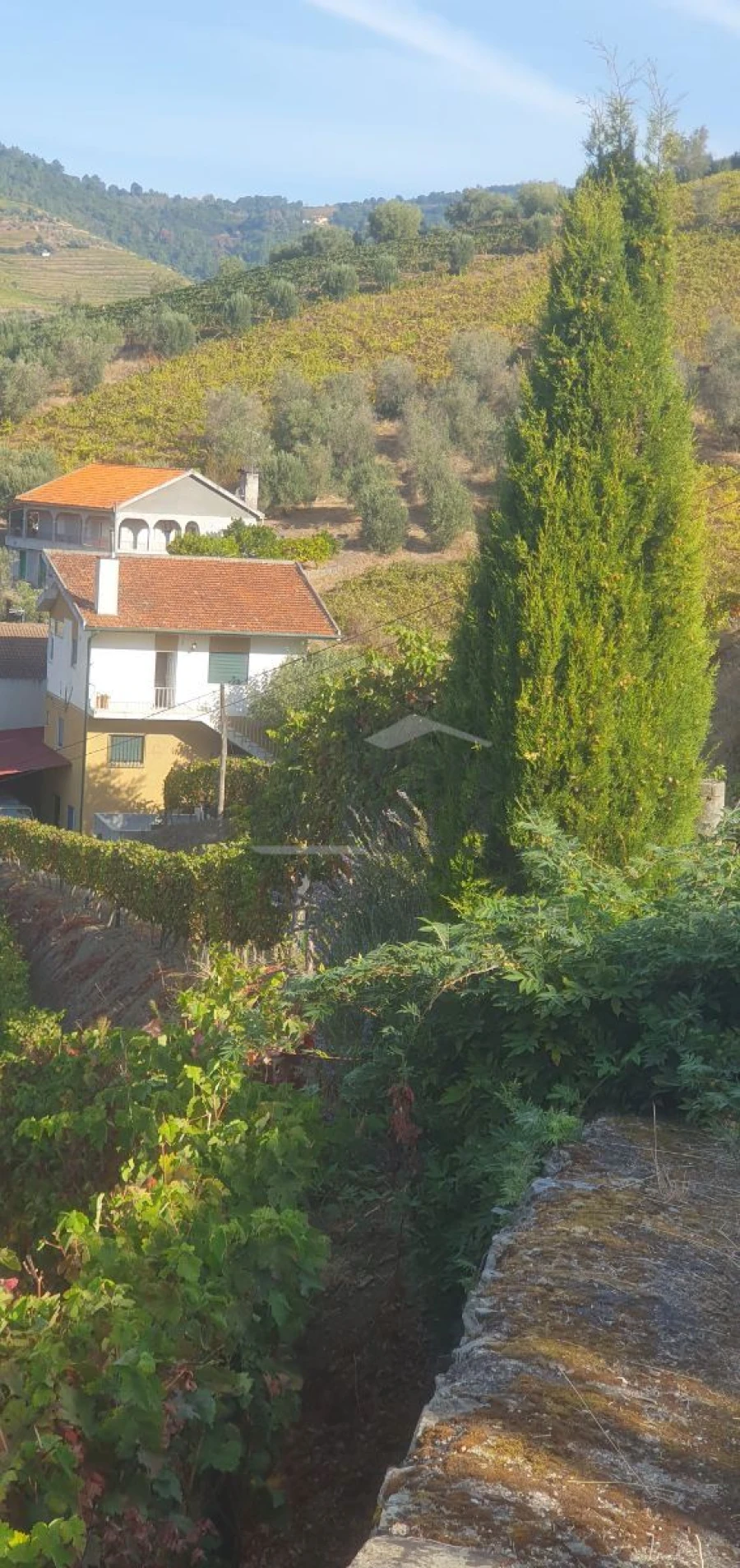 Quinta T5 para Venda em Abaças Foto 2