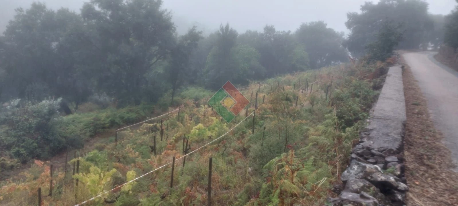 Terreno Agricola ou Rústico para Venda em São Salvador da Aramenha Foto 2