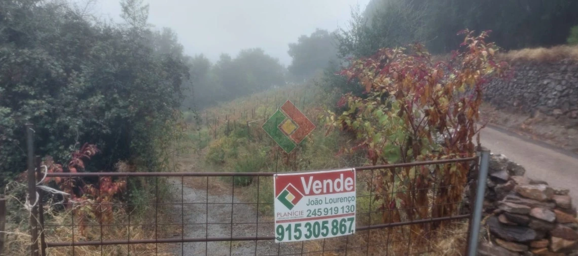 Terreno Agricola ou Rústico para Venda em São Salvador da Aramenha Foto 1