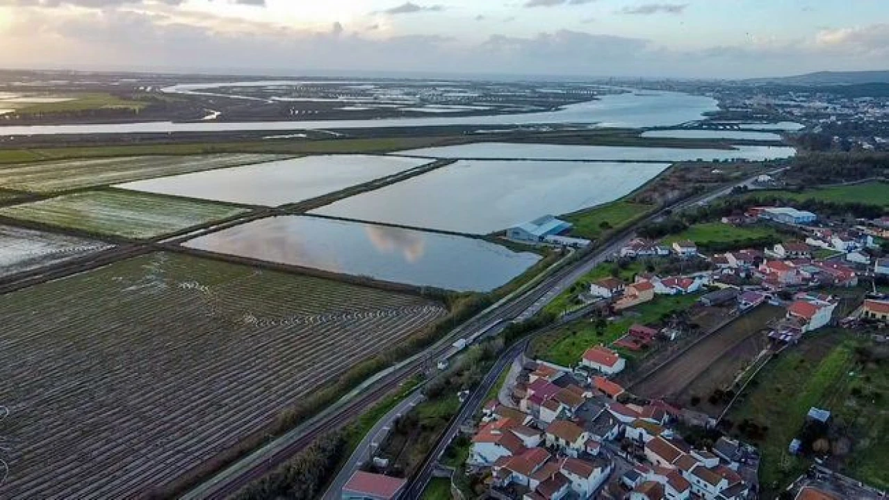 Terreno Agricola ou Rústico para Venda em Vila Verde Foto 8