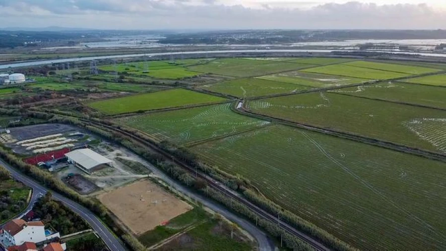 Terreno Agricola ou Rústico para Venda em Vila Verde Foto 7