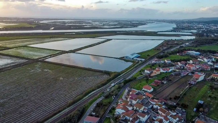 Terreno Agricola ou Rústico para Venda em Vila Verde Foto 8