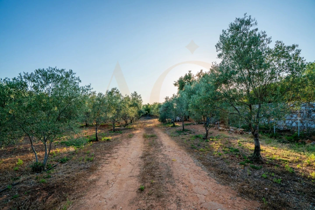 Moradia T7 para Venda em Luz de Tavira e Santo Estêvão Foto 75