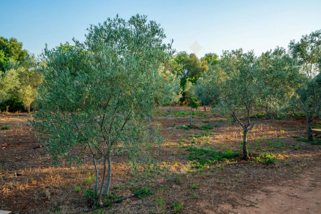Moradia T7 para Venda em Luz de Tavira e Santo Estêvão Foto 76