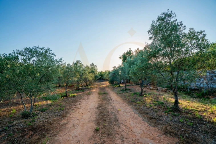 Moradia T7 para Venda em Luz de Tavira e Santo Estêvão Foto 75