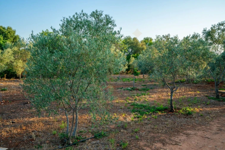 Moradia T7 para Venda em Luz de Tavira e Santo Estêvão Foto 76