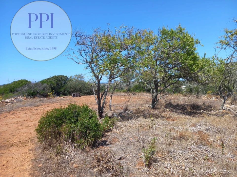 Terreno para Venda em Barão de São Miguel Foto 5