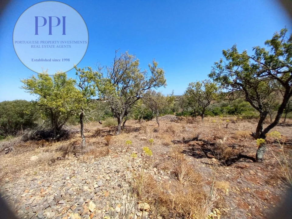 Terreno para Venda em Barão de São Miguel Foto 11