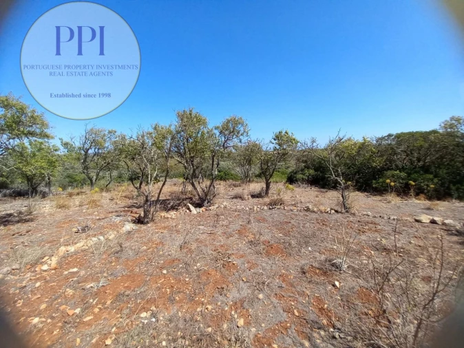 Terreno para Venda em Barão de São Miguel Foto 9