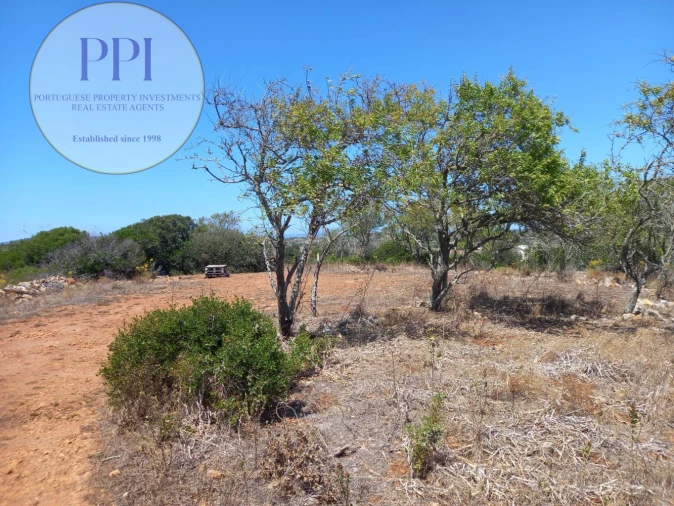 Terreno para Venda em Barão de São Miguel Foto 5