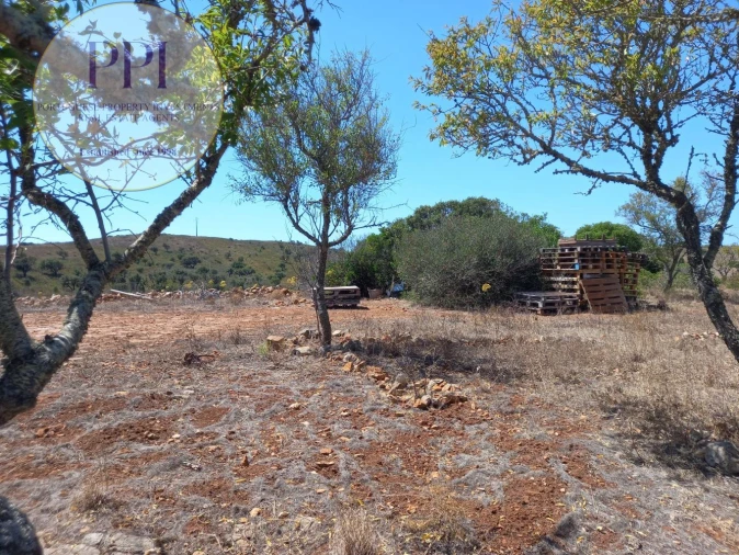 Terreno para Venda em Barão de São Miguel Foto 14