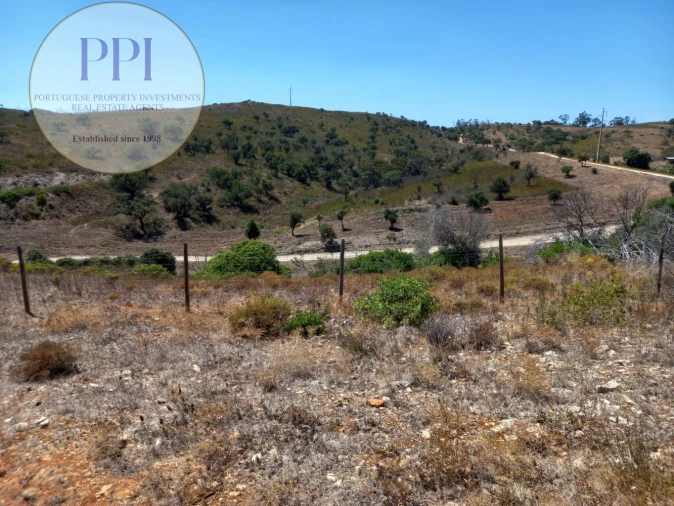 Terreno para Venda em Barão de São Miguel Foto 6