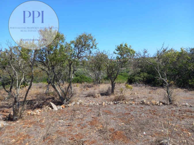 Terreno para Venda em Barão de São Miguel Foto 8