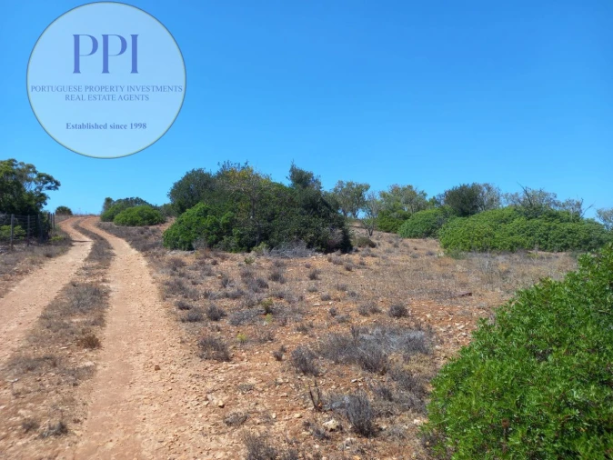 Terreno para Venda em Barão de São Miguel Foto 4