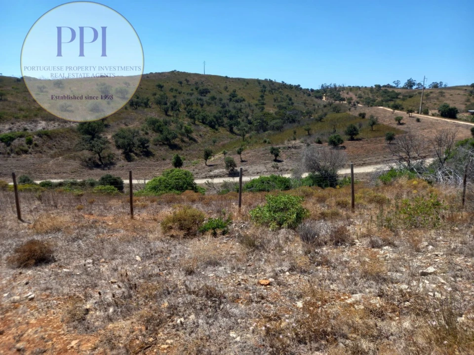 Terreno para Venda em Barão de São Miguel Foto 6