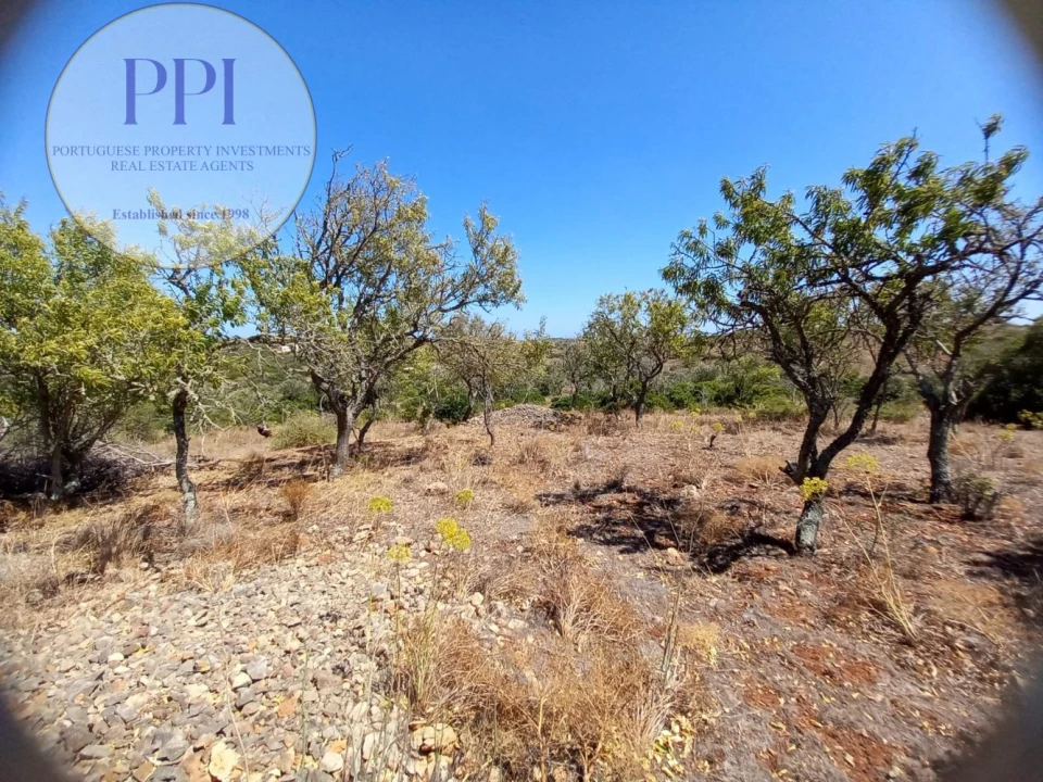 Terreno para Venda em Barão de São Miguel Foto 10