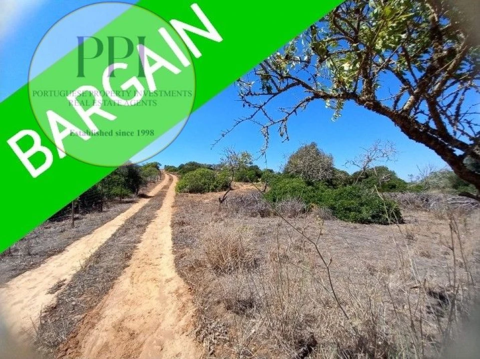 Terreno para Venda em Barão de São Miguel Foto 1