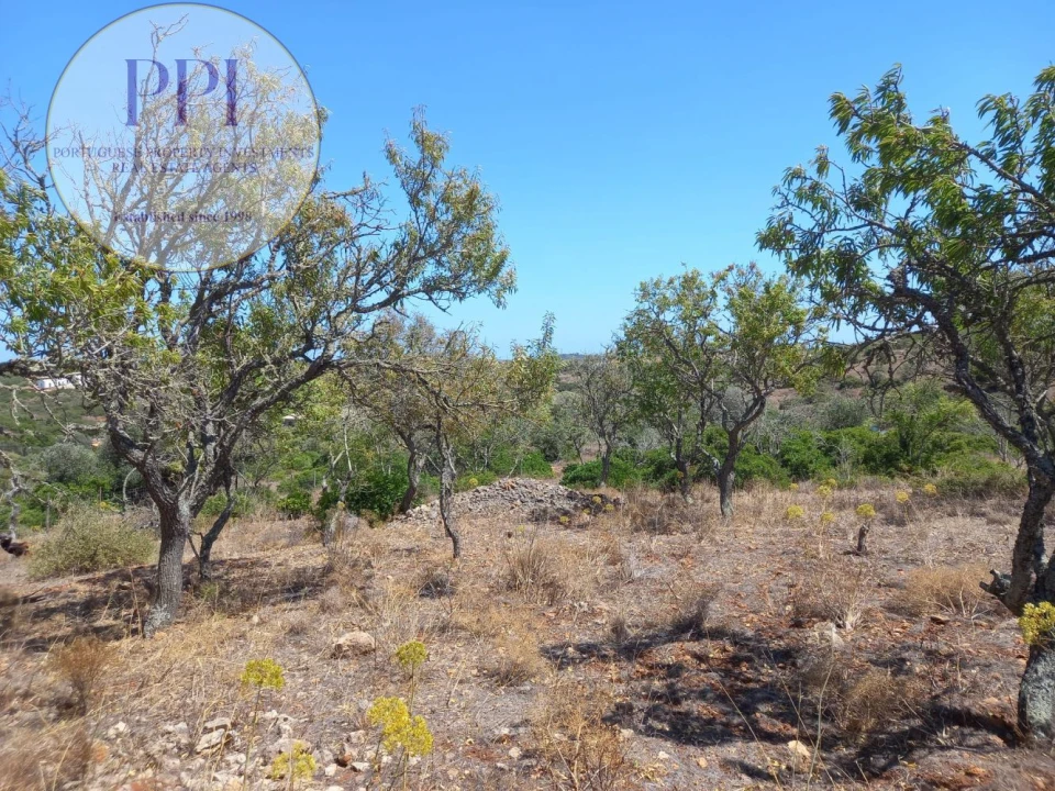 Terreno para Venda em Barão de São Miguel Foto 13