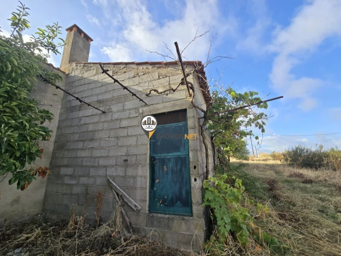 Terreno para Venda em Castelo Branco Foto 8