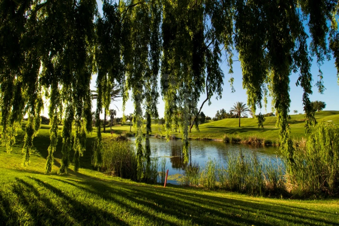 Apartamento T2 para Venda em Estômbar e Parchal Foto 18