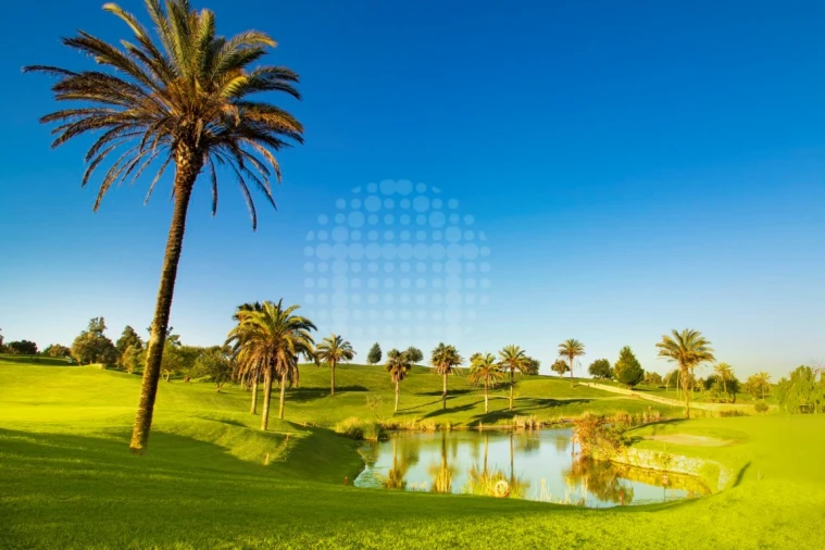 Apartamento T2 para Venda em Estômbar e Parchal Foto 19