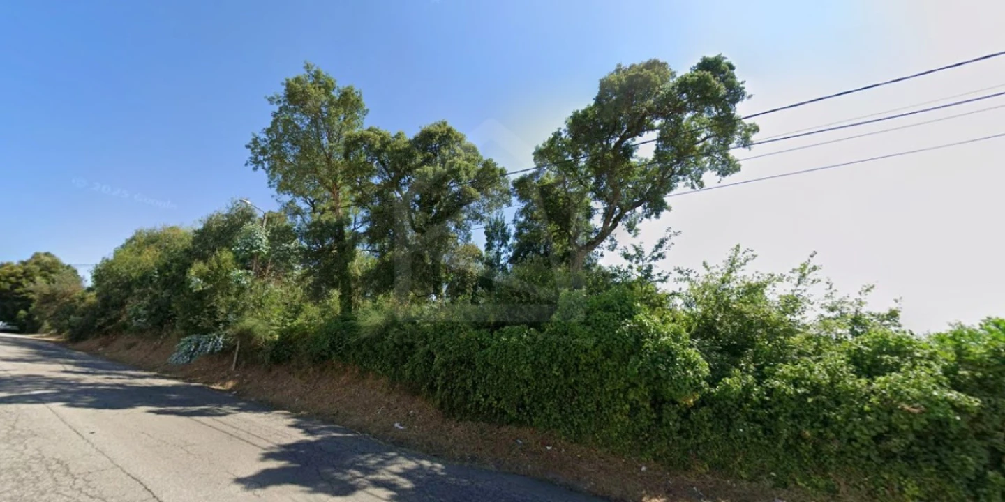 Terreno para Venda em Santa Maria de Lamas Foto 6