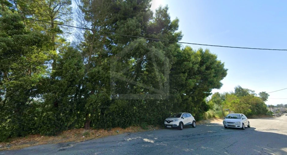 Terreno para Venda em Santa Maria de Lamas Foto 5