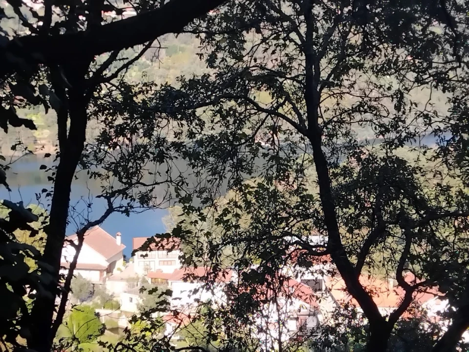 Terreno para Venda em Parada do Bouro Foto 1