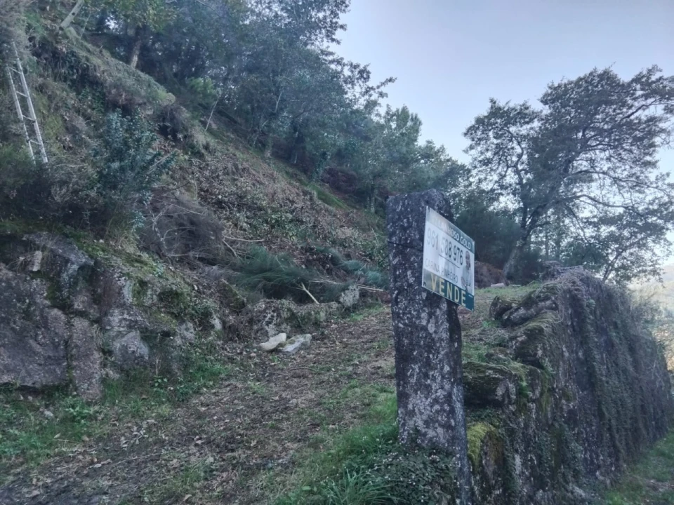 Terreno para Venda em Parada do Bouro Foto 2