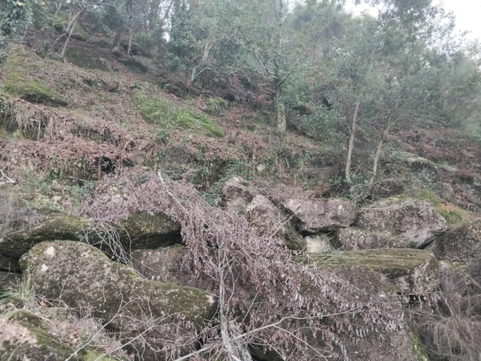 Terreno para Venda em Parada do Bouro Foto 4